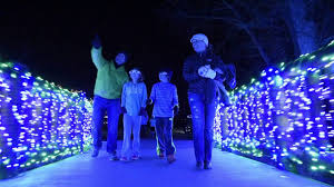 Image result for Christmas Lights.