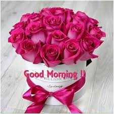 Good Morning My Beautiful Sweetheart I Hope You Had A Good Night And Have A Good Day I Still Love You Just S Luxury Flowers Flowers Bouquet Flower Arrangements