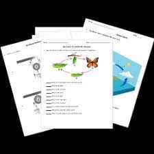 Use this collection of free science printable worksheets and activities, covering topics like force and motion, magnetism and electricity, simple from what organisms need to survive to habitats and life cycles, use these elementary life science worksheets and activities to supplement and support your. Free Elementary Science Worksheets And Printables Kindergarten Through Grade 5