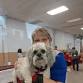 Eastern Iowa Pet Expo