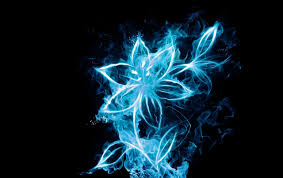Abstract Light Blue Flower Wallpapers Abstract Light Blue Flower Stock Photos
