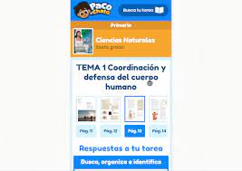 3º a 6º de primaria exámenes de primaria 2020 dónde puedo descargarlos gratis sexto grado calculo mental sisat 6to grado cívica cambios en la adolescencia material educativo para niños examen. Las Preguntas Mas Frecuentes Que Responde Paco Paco El Chato Ayuda Para Tu Tarea