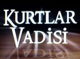 Adimi 90 Ci Seriyada Oyrəndim Kurtlar Vadisi Nin Aktyoru Foto