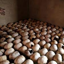 The call to drop the case came after rwanda released a report last month in which it said france. America S Secret Role In The Rwandan Genocide Rwanda The Guardian
