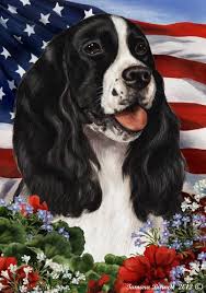 Black And White Springer Spaniel Clipart Springer Spaniel Tamara Burnett Patriotic Flag Springer Spaniel Dog Portrait Drawing Dog Breeder
