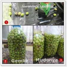 Yesil Zeytin Tadlandirma Ve Kurumu Nasil Yapilir Cocuklugumdan Beri Antalya Da Gecerdi Yaz Aylarimiz Okul Tatili Ve Biz Antalya Yemek Yemek Tarifleri Zeytin