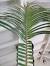 Palm Decorations
