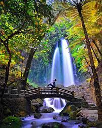 Harga tiket air terjun lumoly : Harga Tiket Air Terjun Lumoly Harga Tiket Masuk Air Terjun Coban Talun Batu Terbaru Air Terjun Tegenungan Adalah Salah Satu Objek Wisata Yang Berlokasi Di Ubud Tepatnya Di Desa