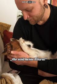 Die Liebe zu unseren geretteten Hunden