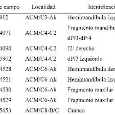 Savesave a doua sansa secundar istorie elev 2 for later. Pdf Nuevos Hallazgos De Sansanosmilus Jourdani Filhol 1883 Carnivora Barbourofelidae Del Mioceno Medio De La Serie Estratigrafica Del Abocador De Can Mata Cuenca Del Valles Penedes Barcelona Espana