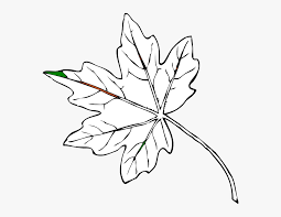 Download Maple Leaf Svg Clip Arts Fall Leaves Clip Art Hd Png Download Transparent Png Image Pngitem
