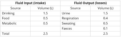 The amount of fluid required by a person and the urine output varies with age, weight, activity and physical surrounding. Fluid Management Teachmesurgery