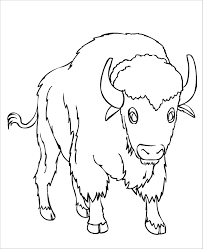 Download this adorable dog printable to delight your child. Bison Coloring Pages Coloringbay