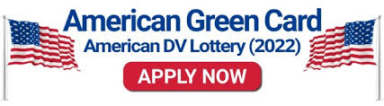 All the participants who had submitted their entries successfully in the year 2020 will be provided with a unique confirmation number. Usa Dv Lottery 2022 Usa Green Card Lottery Online Application Form Tech Brine