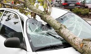 Maybe you would like to learn more about one of these? Does Car Insurance Cover Tree Damage Allstate
