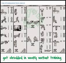 full body workout blog full body workout at home pdf