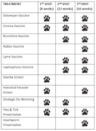 vaccine chart for puppies goldenacresdogs com