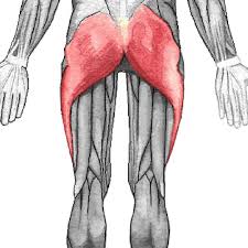 Here's how to do it: Glute Exercises The Top Two To Get You Started Lori Duncan Pt