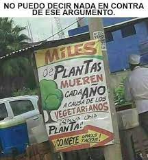 Tacos Focos Amarillos Facebook