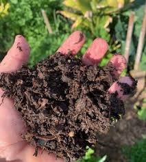 Scotts premium humus manure is shown to strengthen roots and improves soil condition. Humus Rich Soil Bunnings