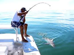 Image result for fishing