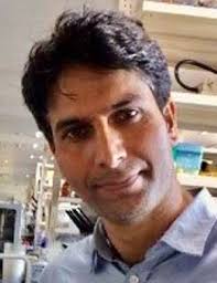 Solanaceae transformation center