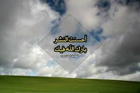 اجمل الردود على المنشورات ليدي بيرد