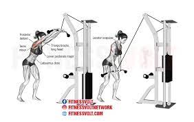 While the exercise will primarily target the lats, you will also notice a fair amount of bicep and middle back activation. How To Do Cable Straight Arm Pulldown Lats Fitness Volt