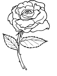 I also love orchids but that's not what i'm gonna share now. Printable Roses Coloring Pages Coloring Home