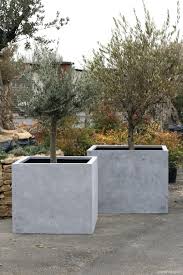 Mit fotos einfach online gestalten. Pflanzkubel Blumenkubel Pflanzgefasse In Beton Oder Sandsteinoptik Pflanzen Gartendeko Aus Beton Garten Deko