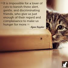 Anybody who doesn't know what soap tastes like never washed a dog.—franklin p. Cat And Dog Quotes Quotesgram
