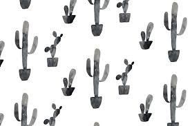 Looking for the best black and white desktop backgrounds? Cactus Black And White Wallpapers Top Free Cactus Black And White Backgrounds Wallpaperaccess