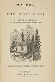 Walden Or Life In The Woods By Henry David Thoreau In 2020 Henry David Thoreau Books Thoreau