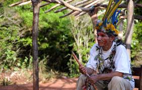 Siu guaraní facultad de ciencias agrarias y forestales. Guarani Indigenous People Of The Amazon Amazon Aid Foundation