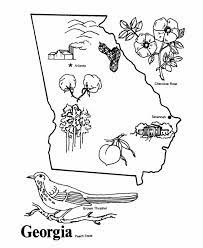 State bird and flower coloring page. Ga State Bird Coloring Pages