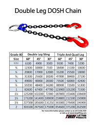 Endless Chain Sling Capacity Chart Www Bedowntowndaytona Com