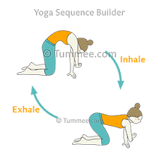 Pin On Creative Yoga Poses