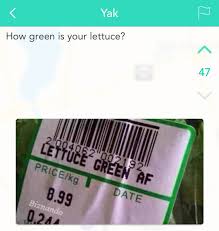 Haskell said students started hearing about the app at about 10 o'clock thursday. Yik Yak Gems