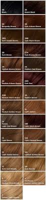 Clairol Hair Color Chart Dark Brown Hairs Of Natural