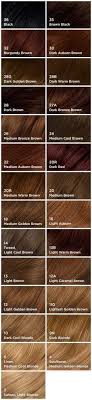 clairol hair color chart dark brown hairs of natural