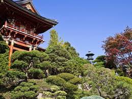 Japanese Tea Garden To Reopen With New Restrictions In Place