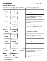 Root Words Worksheet Pdf Human Body Introduction In 2020 Medical Terminology Games Medical Terminology Medical School Motivation