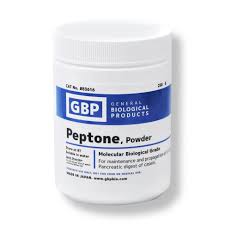 Image result for Peponium
