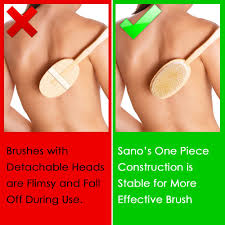 .brush with cactus bristles (firm/extra firm bristles) specially curved cut cactus bristles for easy all over brushingergonomically designed with a hand strap for extra controlit can be used for wet or inside ariana grande's vmas rehearsal, beyoncé's 'brown skin girl' visual & more | billboard news. Best Body Brush For Dry Brushing Cellulite And Skin 100 Natural Cruelty Free Vegan Cactus Sisal Bristles Spa Quality Detox Brushing By Sano Naturals Amazon De Beauty
