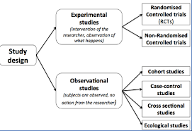 Statistical Studies Cross Sectional Study Observational Study Cohort Study