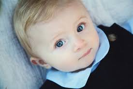 Harrison Homeplace: Weekend Wrap