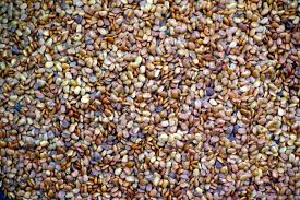 Image result for Macrotyloma