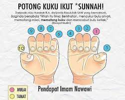 Kerna manusia tidak lari daripada melakukan kesilapan. Rahmat Ikhsan Ø¯Ø± ØªÙˆÛŒÛŒØªØ± Potong Kuku Ikut Sunnah Jom Ikutttt