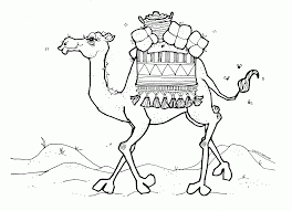 Donkey with foal coloring pages. Camel In A Camel Caravan Coloring Page Coloring Home