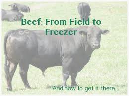 Résultat de recherche d'images pour "side of beef"